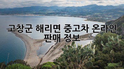 고창군 해리면 중고차 온라인 판매 정보